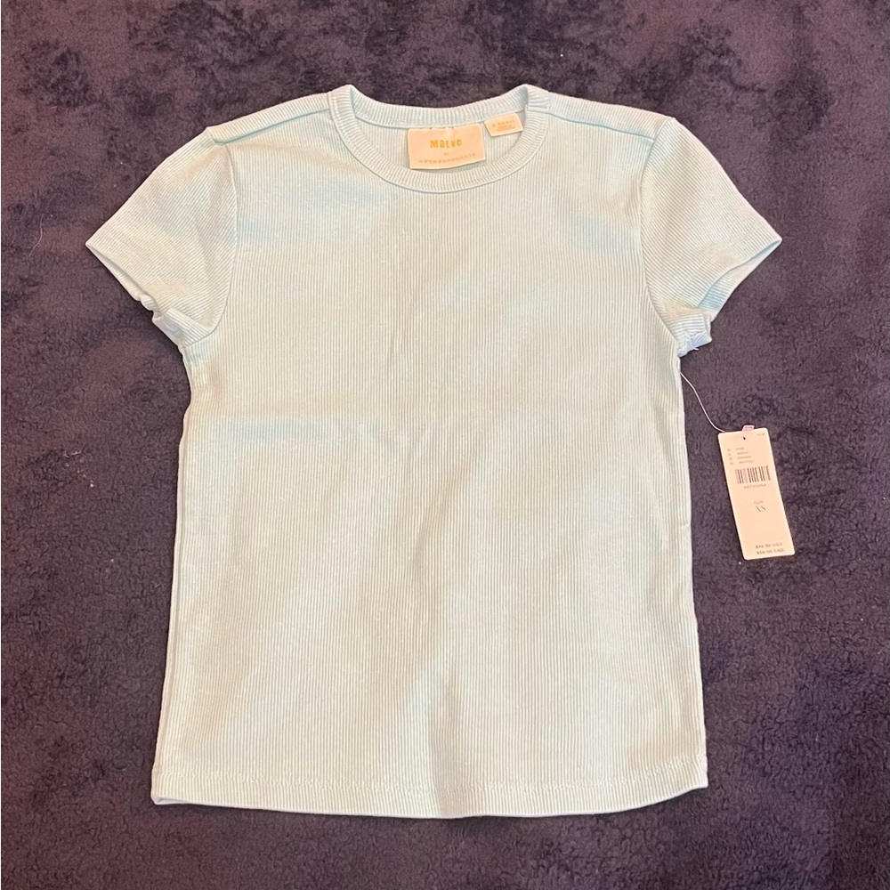 Teal basic fitted ribbed T-shirt
